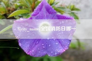 南昌全国消防日哪一