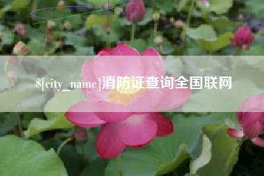 南昌消防证查询全国联网