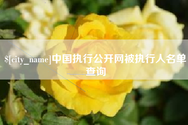 南昌中国执行公开网被执行人名单查询
