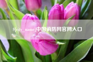 南昌中国消防网官网入口