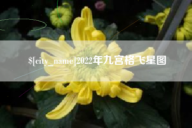 南昌2022年九宫格飞星图
