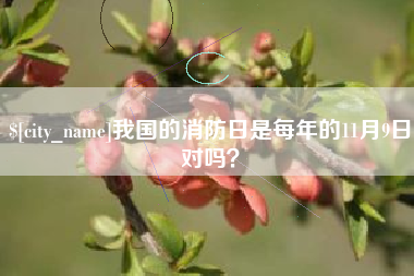 南昌我国的消防日是每年的11月9日对吗？