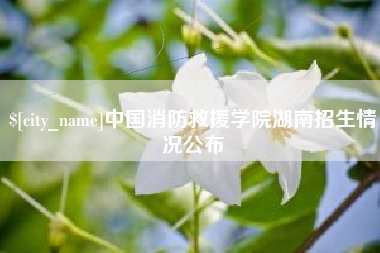 南昌中国消防救援学院湖南招生情况公布