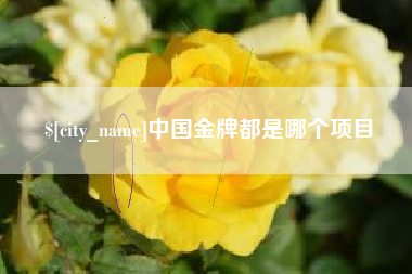 南昌中国金牌都是哪个项目