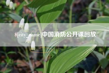 南昌中国消防公开课回放