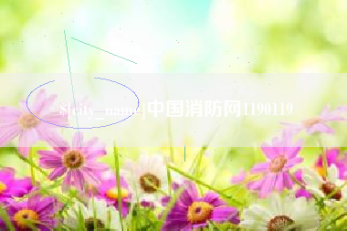 南昌中国消防网1190119