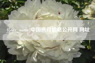 南昌中国执行信息公开网 网址