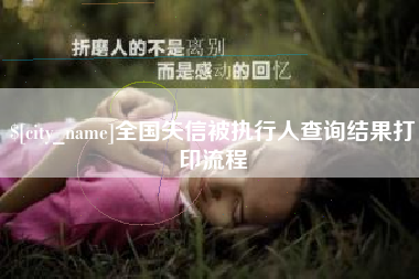 南昌全国失信被执行人查询结果打印流程