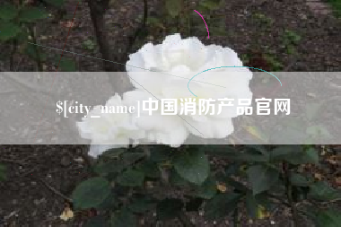 南昌中国消防产品官网