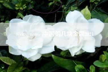 南昌中国的几块金牌2021