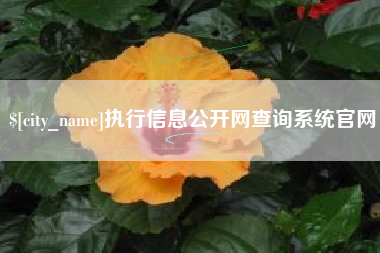 南昌执行信息公开网查询系统官网