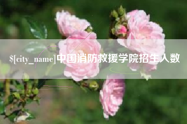 南昌中国消防救援学院招生人数