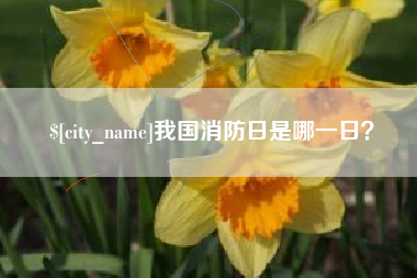 南昌我国消防日是哪一日？