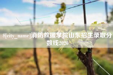 南昌消防救援学院山东招生录取分数线2020