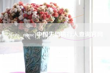 南昌中国失信执行人查询官网