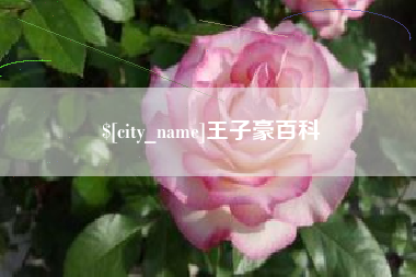南昌王子豪百科