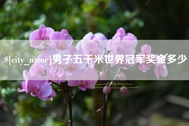南昌男子五千米世界冠军奖金多少