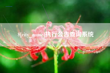 南昌执行公告查询系统