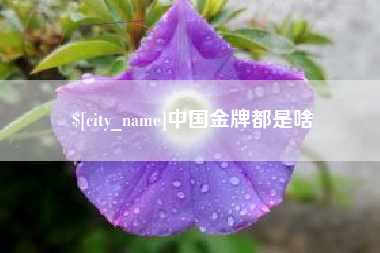 南昌中国金牌都是啥