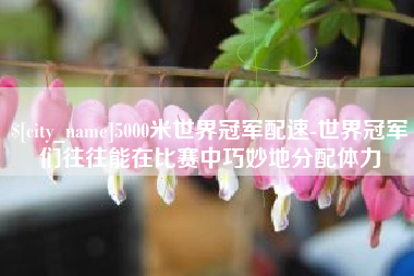 南昌5000米世界冠军配速-世界冠军们往往能在比赛中巧妙地分配体力