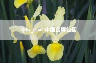 南昌中国金牌包括