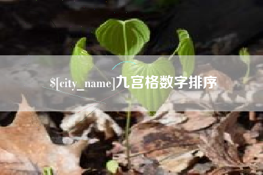南昌九宫格数字排序