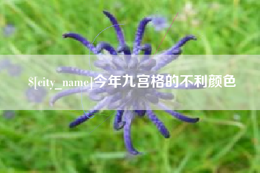 南昌今年九宫格的不利颜色