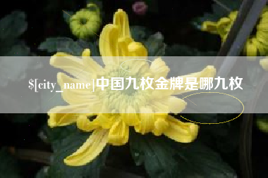 南昌中国九枚金牌是哪九枚