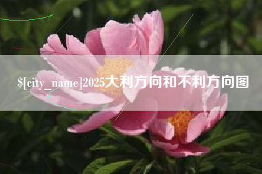 南昌2025大利方向和不利方向图
