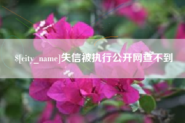 南昌失信被执行公开网查不到
