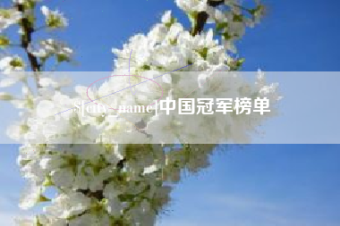 南昌中国冠军榜单