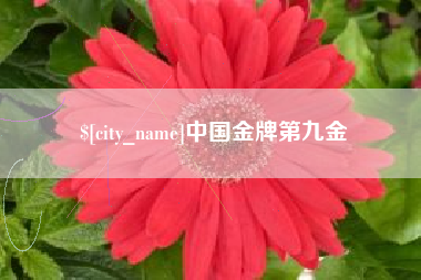 南昌中国金牌第九金