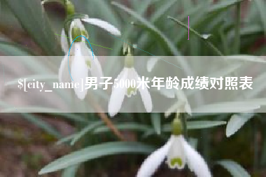 南昌男子5000米年龄成绩对照表