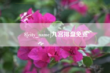 南昌九宫排盘免费