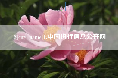 南昌1.中国执行信息公开网