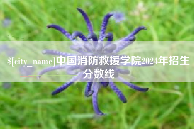 南昌中国消防救援学院2024年招生分数线