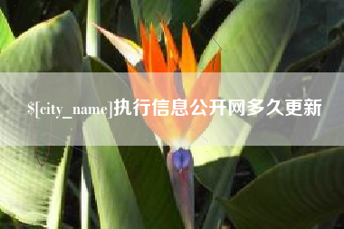 南昌执行信息公开网多久更新