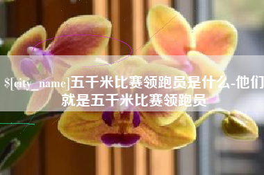 南昌五千米比赛领跑员是什么-他们就是五千米比赛领跑员