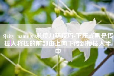 南昌60米接力赛技巧-下压式则是传棒人将棒的前部由上向下传到接棒人手中