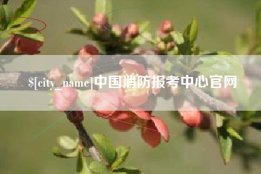 南昌中国消防报考中心官网
