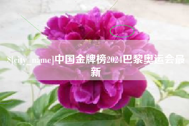 南昌中国金牌榜2024巴黎奥运会最新