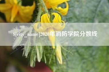 南昌2020年消防学院分数线
