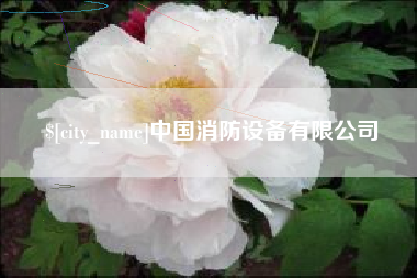 南昌中国消防设备有限公司