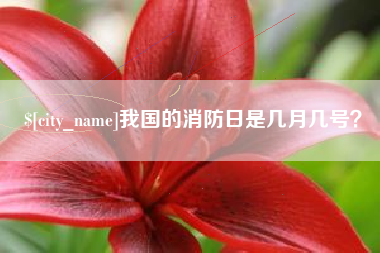 南昌我国的消防日是几月几号？