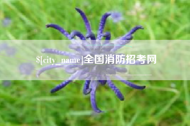 南昌全国消防招考网