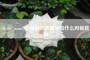 南昌中国消防救援学院什么时候政审