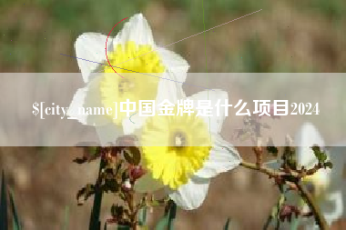 南昌中国金牌是什么项目2024