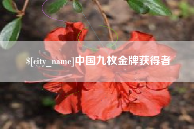 南昌中国九枚金牌获得者