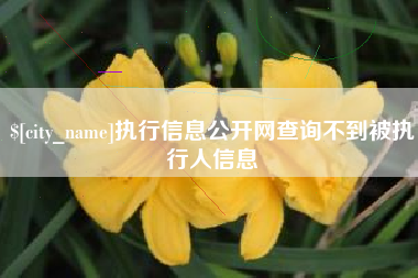 南昌执行信息公开网查询不到被执行人信息