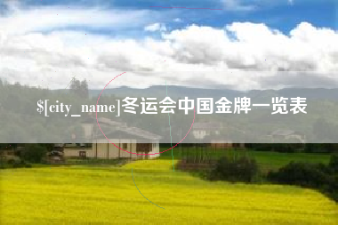 南昌冬运会中国金牌一览表